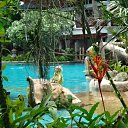 ���� �������, ������, 84 ���� - ��������� 28 ������ 2019 � ������ ���� ����������