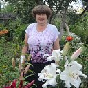 ���� ����, ������������ - ��������� 17 ������� 2018 � ������ ���� ����������