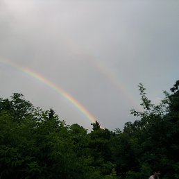 ����, ���������