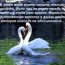 ���� ������, �������, 35 ��� - ��������� 12 ������� 2018 � ������ ���� ����������