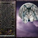 ���� ��������, ������ - ��������� 12 ������� 2018 � ������ ���� ����������