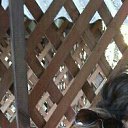 ���� �������, ������������, 40 ��� - ��������� 6 ������� 2018 � ������ ���� ����������