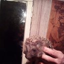 ���� �������, ������� - ��������� 27 ������ 2018 � ������ ���� ����������