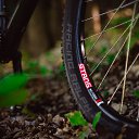 ���� ������, ������������, 40 ��� - ��������� 23 ����� 2019 � ������ ������Ż