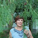 ���� �������, ���������, 61 ��� - ��������� 29 �������� 2018 � ������ ���� ����������