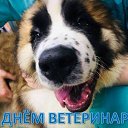 ���� ������, �����������, 42 ���� - ��������� 1 �������� 2018 � ������ ������ ��������