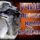 ���� �������, ������, 51 ��� - ��������� 4 ������� 2018 � ������ ���� ����������