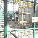 ���� ������, ��������� - ��������� 16 ������� 2018 � ������ ������ ������� �����������