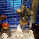 ���� �������=, ������, 64 ���� - ��������� 11 ����� 2019 � ������ ���� ������ ��������� �� �������