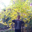 ���� �����, ������-��-���� - ��������� 23 ������� 2018