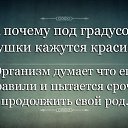 ���� ���������, ��������� - ��������� 8 ������� 2018 � ������ ������ ��������