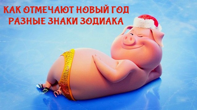 .     31-     .    60   ...