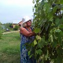 ���� ������, ������, 68 ��� - ��������� 12 ������� 2018 � ������ ���� ����������