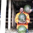 ���� Toxir, ���������� - ��������� 15 ���� 2018 � ������ ���� ����������