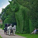 ���� �������, ������, 51 ��� - ��������� 19 ������ 2018 � ������ ���� ����������