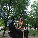 ���� ��������, ���������, 53 ���� - ��������� 26 ������� 2018 � ������ ���� ����������