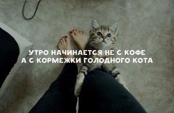    - 29  2018  16:29