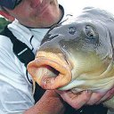 ���� ������ �������, ���������, 59 ��� - ��������� 10 ����� 2019 � ������ ������ ��������