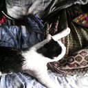 ����� �����. �� ������� ���� ����