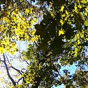 ���� U-jin, ������, 54 ���� - ��������� 19 �������� 2018 � ������ ���� ������-��������