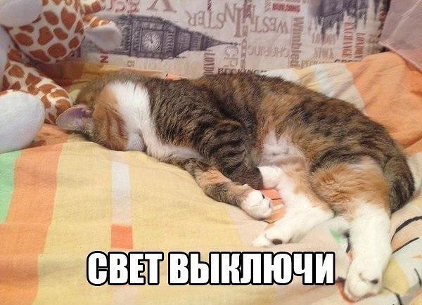 ��� �������� �������� - 25 ������� 2018 � 16:39