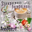 ���� Ahmed, ������, 49 ��� - ��������� 13 ������� 2018 � ������ ���� ����������