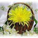 ���� �����, ������, 57 ��� - ��������� 29 ������� 2018 � ������ ���� ����������