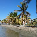 ���� �����, ������ ��������, 41 ��� - ��������� 4 �������� 2018 � ������ ���� ����������