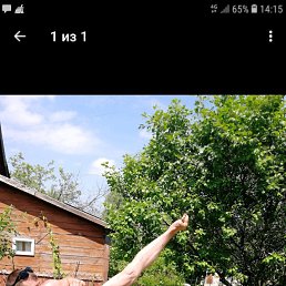 ���� ���������, ������, 37 ��� - ��������� 20 ������� 2018