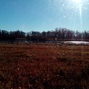 ���� �����, ��������, 37 ��� - ��������� 31 ������� 2018 � ������ ���� ����������