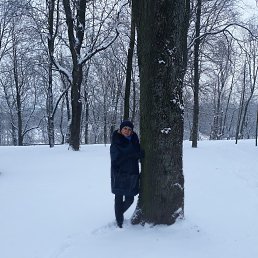 �����, �����-���������, 55 ���