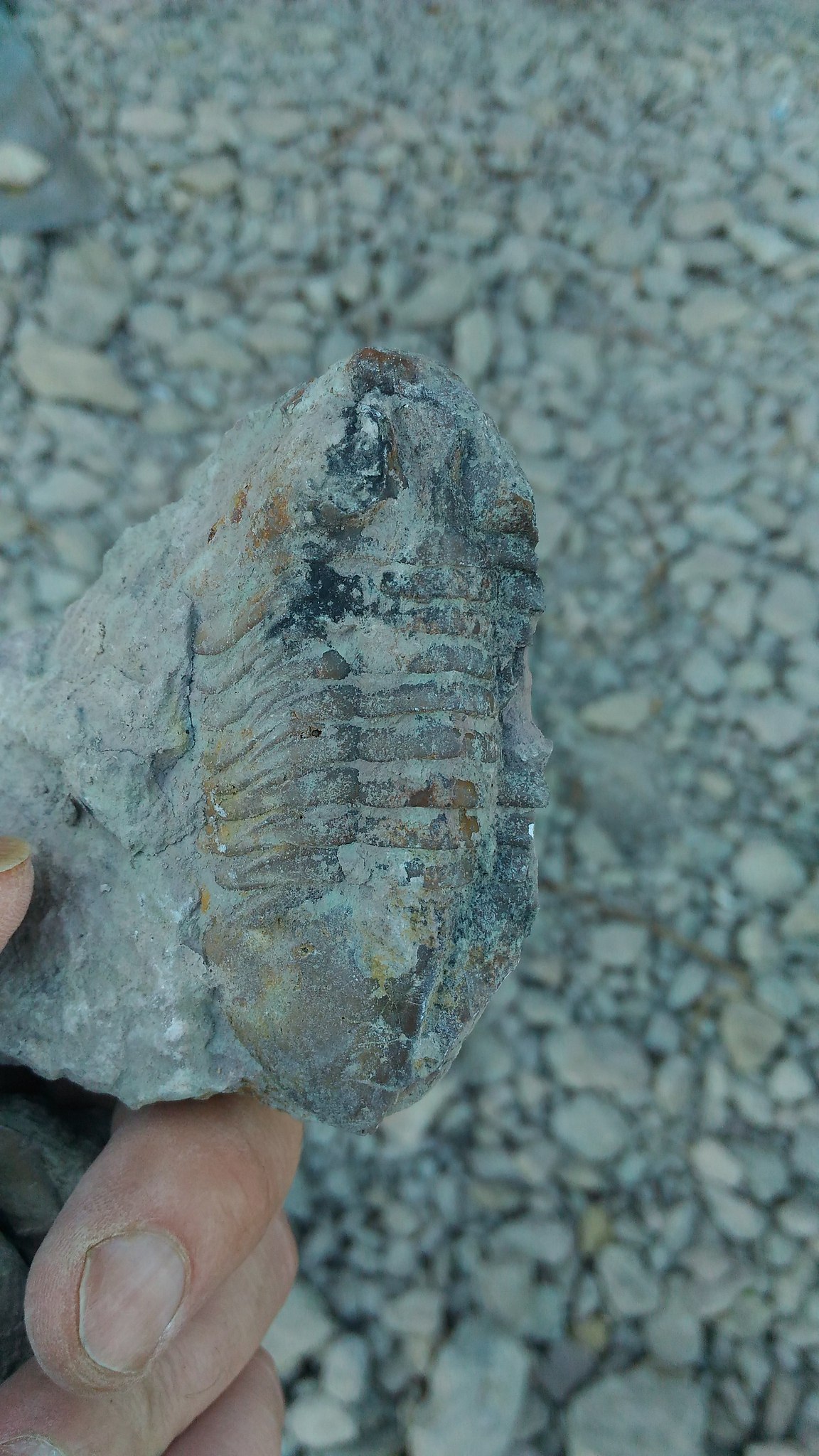  - 23  2018  16:51 - 8