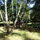 ���� Alex, �������� - ��������� 27 ����� 2019 � ������ ���� ����������