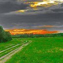  Alex, , 68  -  15  2019     ޻