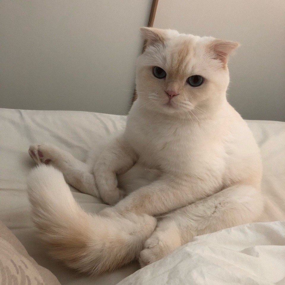  - 2