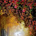  , -, 79  -  21  2018   