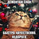 ���� �������, ������, 51 ��� - ��������� 3 ������� 2018 � ������ �������
