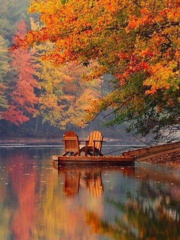  ,      -       ... - 7