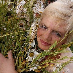 ���� �����, ������, 76 ��� - ��������� 13 ������� 2018