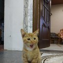 ���� ������, �����, 59 ��� - ��������� 9 ������ 2018 � ������ ���� ����������