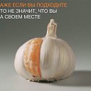 ���� ����, �������, 35 ��� - ��������� 20 ���� 2018 � ������ ���� ����������