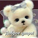 ���� �������, �����, 55 ��� - ��������� 8 ������ 2019 � ������ ���� ����������