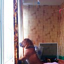 ���� �����, ������, 41 ��� - ��������� 22 ������� 2019 � ������ ���� ����������