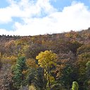 ���� Igor, ��� ����, 62 ���� - ��������� 7 ������ 2018 � ������ �Bear Mountain�