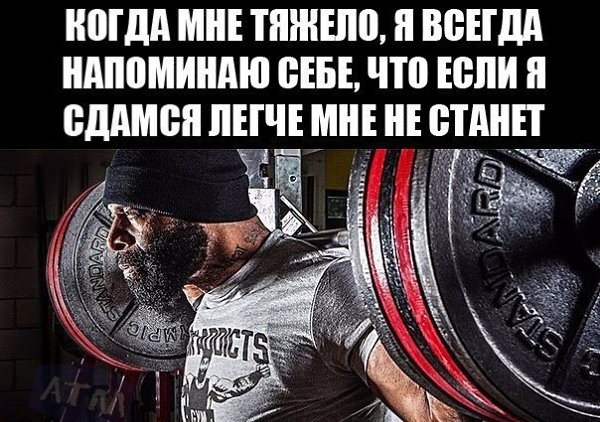 SportFeed - 24 �������� 2018 � 16:26