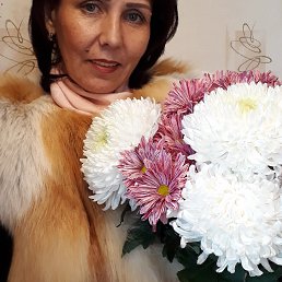 ���� ������, ��������, 55 ��� - ��������� 24 ������� 2018