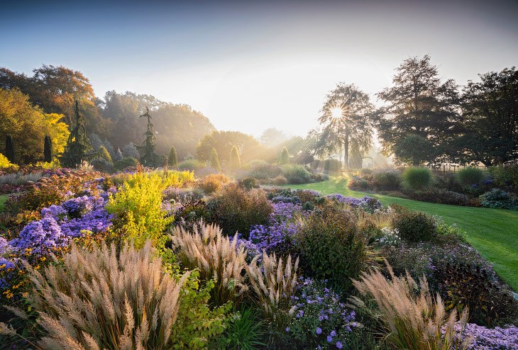   - . UK International Garden Photographer of the ...