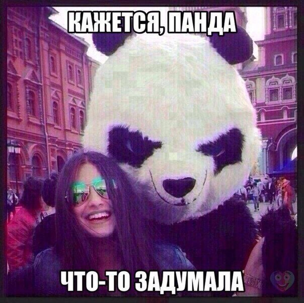    :D - 2  2019  16:56