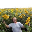 ���� �������, �����-���������, 77 ��� - ��������� 1 ������ 2018 � ������ ���� ����������