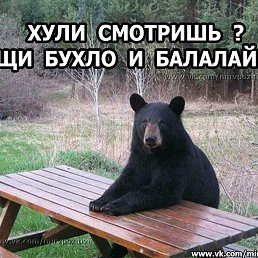 ���� �����, �����������, 52 ���� - ��������� 20 ����� 2019